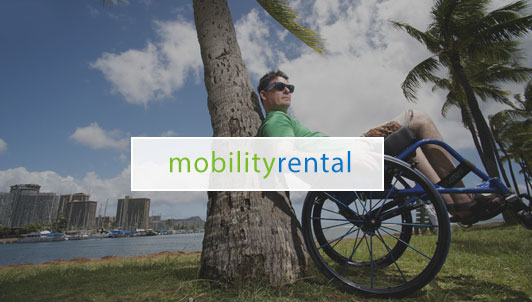 10 Must-Have Wheelchair Accessories for Your Holiday Wish List -  MobilityWorks